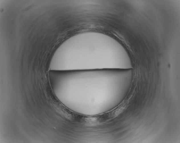 X0000068840265200605050951