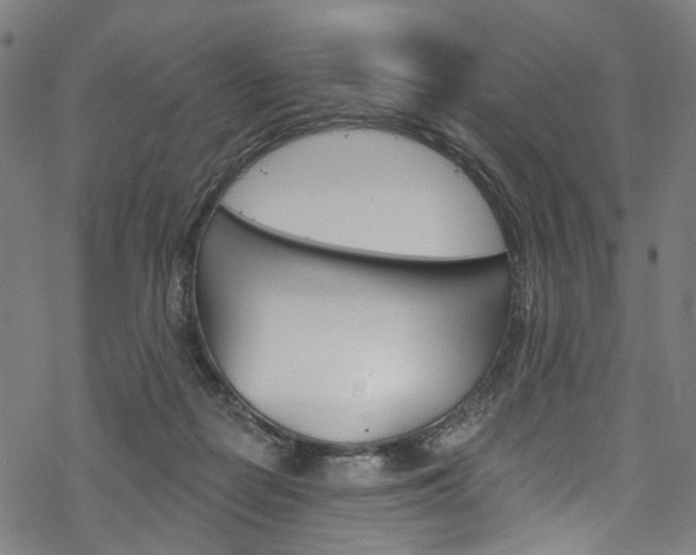 X0000068840266200605050951