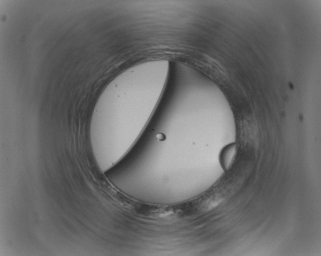 X0000068840267200605050951