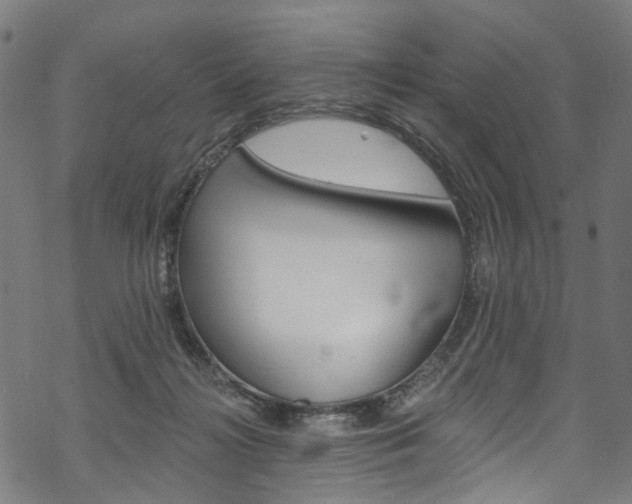 X0000068840268200605050951