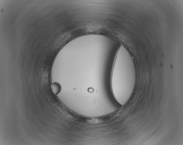 X0000068840269200605050951