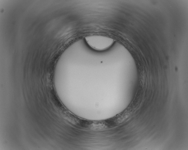 X0000068840270200605050951