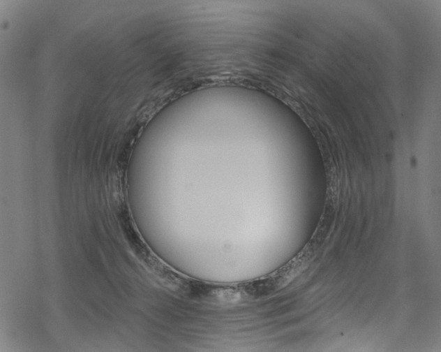 X0000068840272200605050951