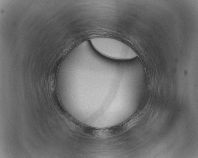 X0000068840273200605050951