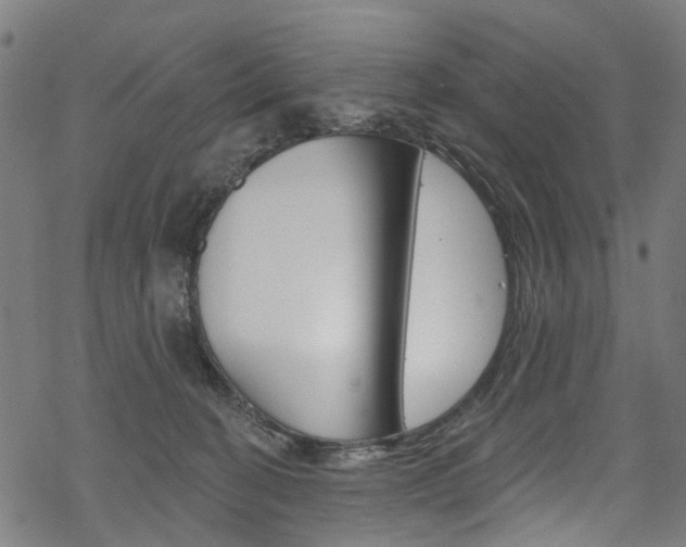 X0000068840274200605050951