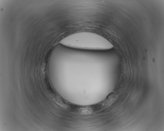 X0000068840275200605050951