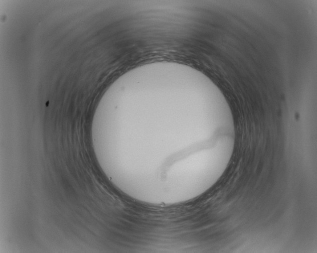 X0000068840276200605050951