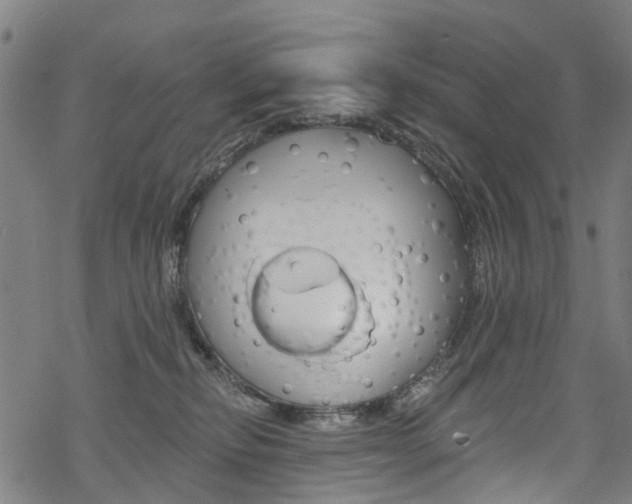 X0000068840278200605050951