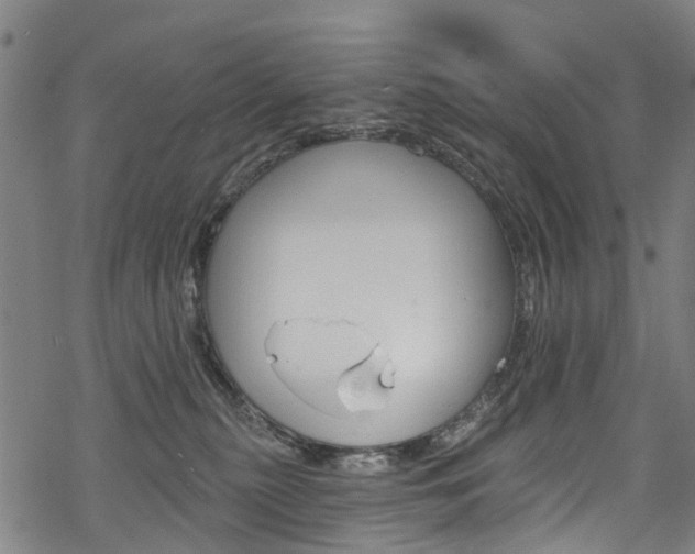 X0000068840279200605050951