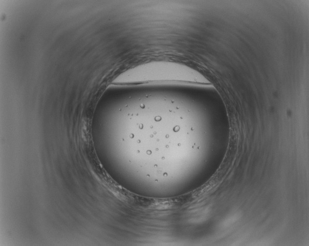 X0000068840280200605050951