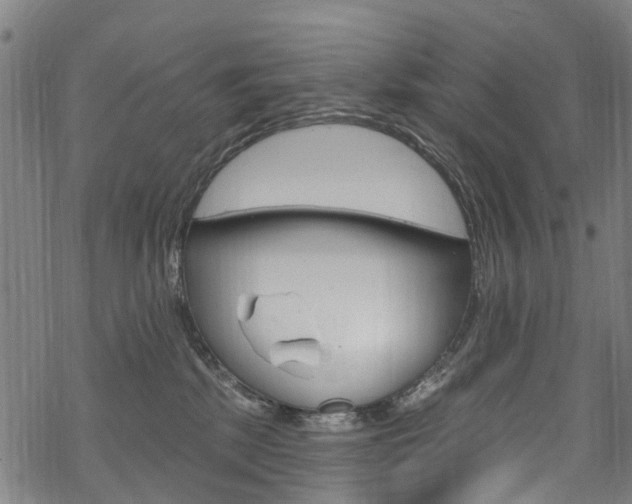 X0000068840281200605050951