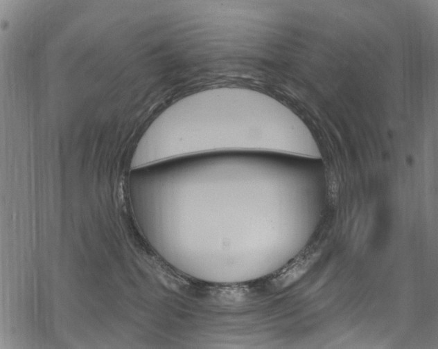 X0000068840282200605050951