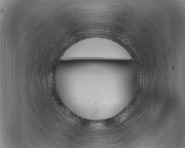 X0000068840283200605050951