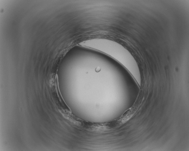 X0000068840284200605050951