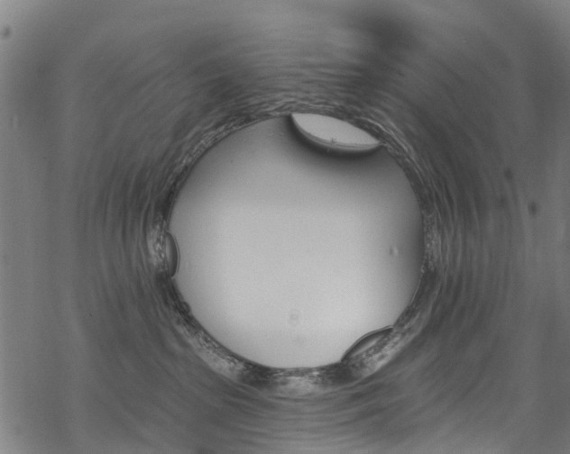 X0000068840285200605050951