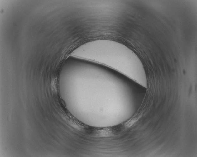 X0000068840286200605050951