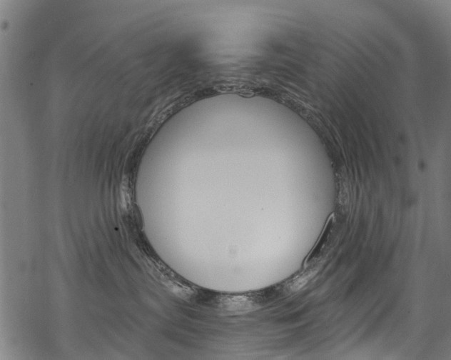 X0000068840287200605050951