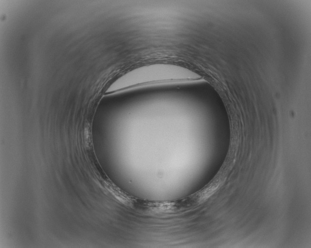 X0000068840288200605050951