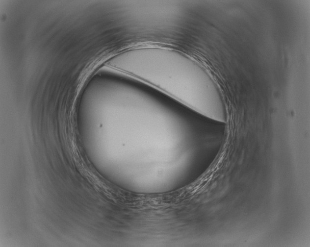 X0000068840289200605050950