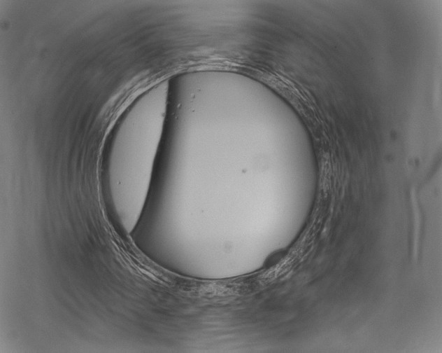 X0000068840290200605050950