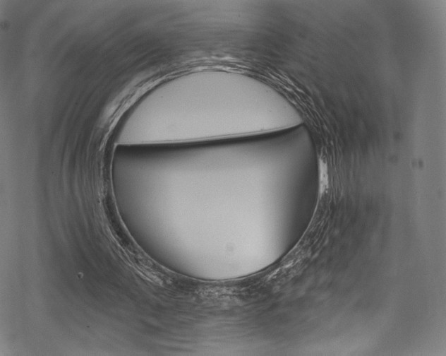 X0000068840291200605050950