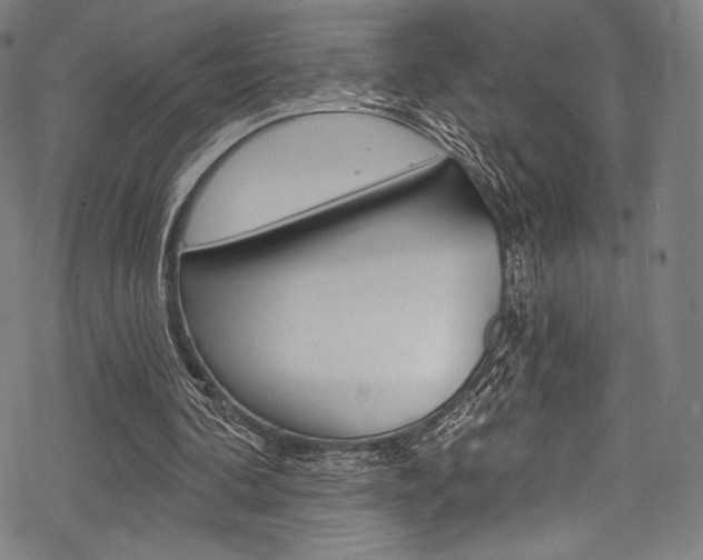 X0000068840292200605050950