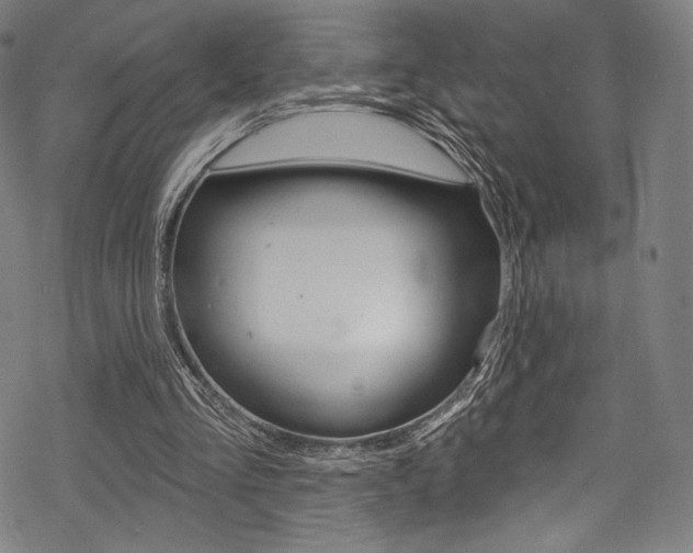 X0000068840293200605050950