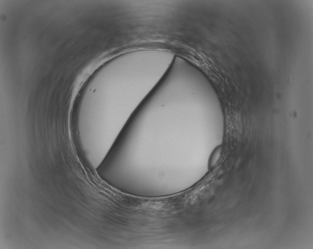 X0000068840294200605050950