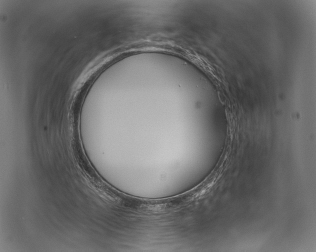 X0000068840295200605050950