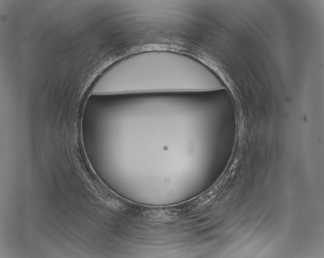 X0000068840297200605050950