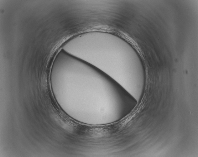 X0000068840298200605050950