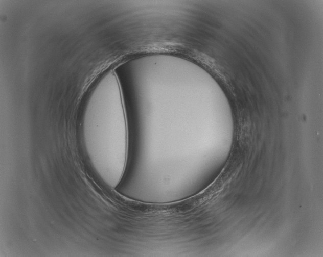 X0000068840299200605050950