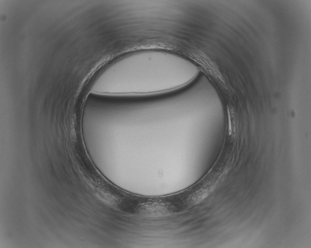 X0000068840300200605050950