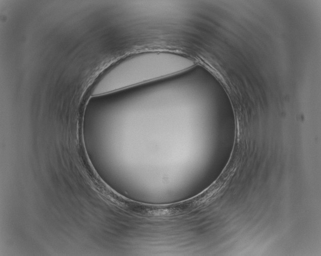 X0000068840301200605050950