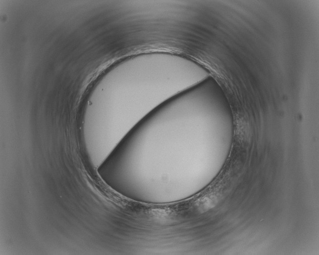 X0000068840302200605050950