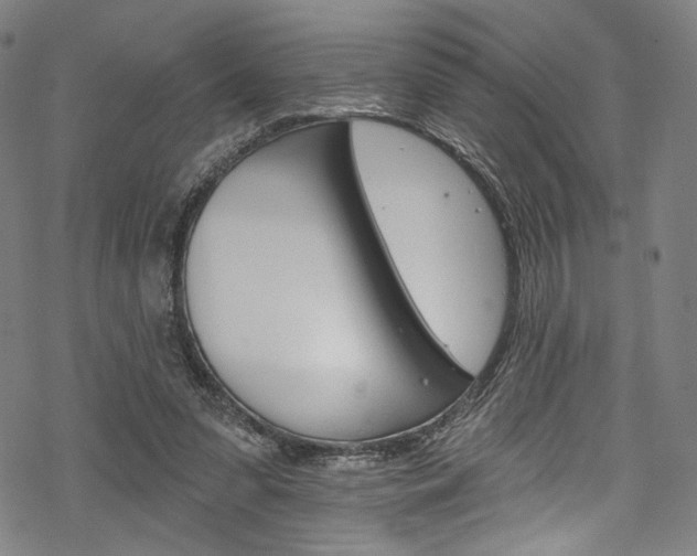 X0000068840303200605050950