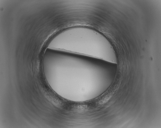 X0000068840304200605050950