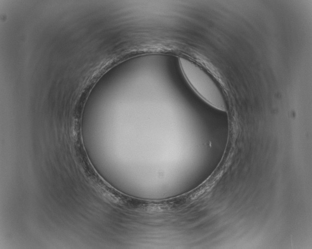 X0000068840305200605050950