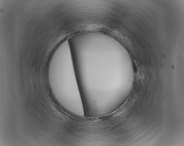 X0000068840306200605050950