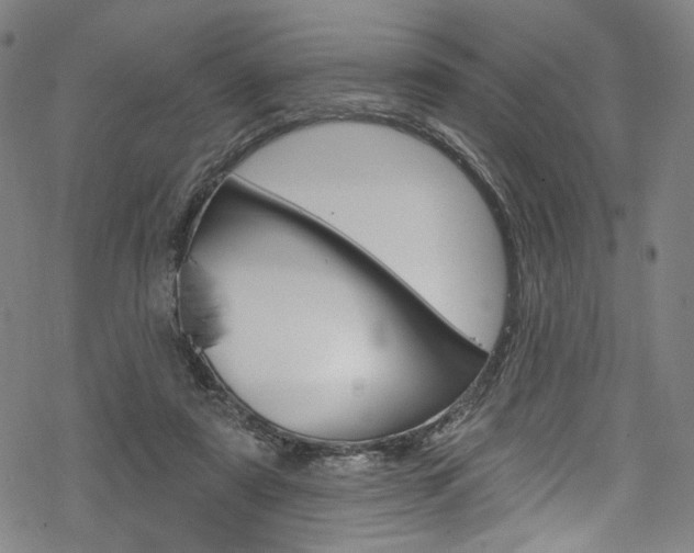 X0000068840307200605050950