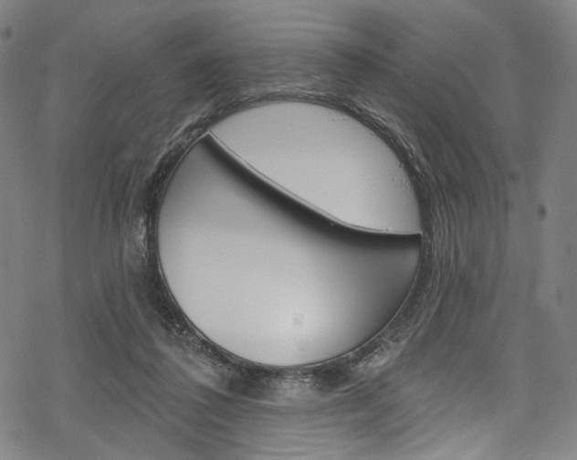 X0000068840308200605050950