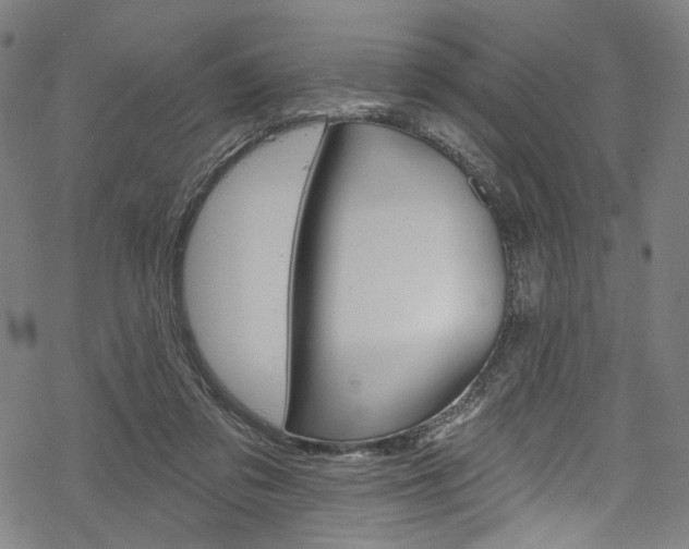 X0000068840309200605050950