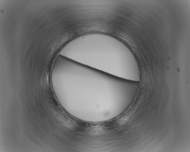 X0000068840310200605050950