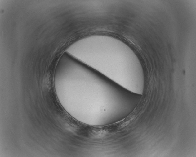 X0000068840311200605050950