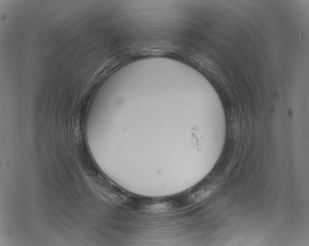 X0000068840312200605050950