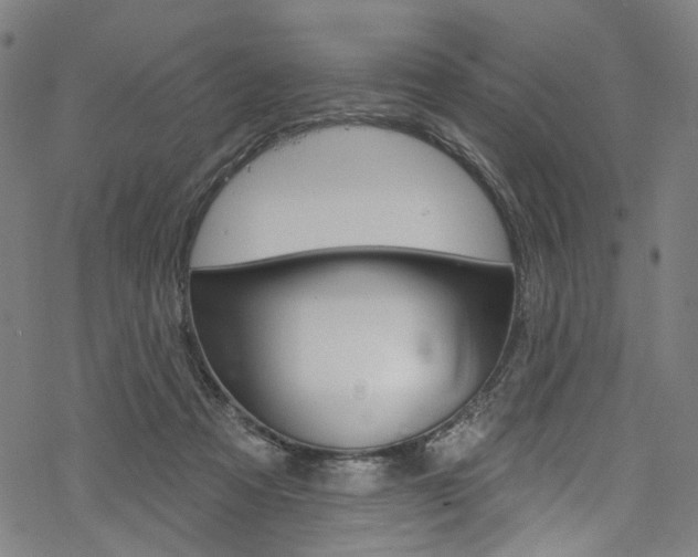 X0000068840313200605050950