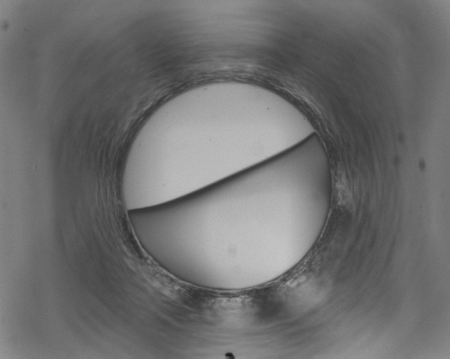 X0000068840314200605050950