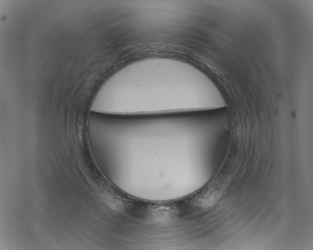 X0000068840315200605050950