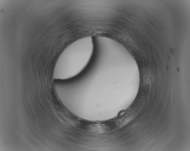 X0000068840316200605050950