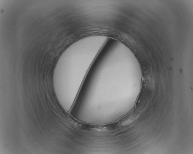 X0000068840317200605050950